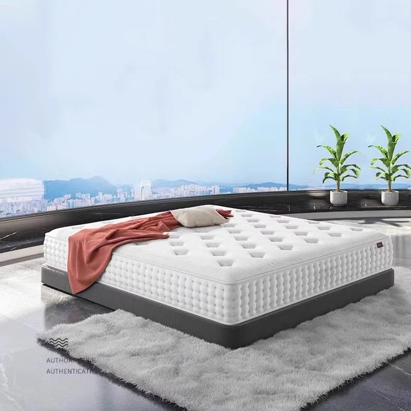 Queen Memory Foam Mattress